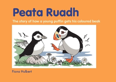Peata Ruadh: The story of how a young puffin gets his coloured beak