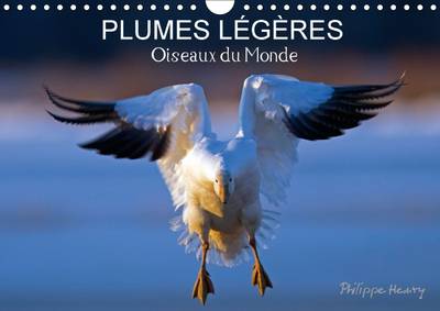 Plumes Legeres. Oiseaux du Monde: Treize Photos d'Oiseaux en Action, Photographies avec l'Oeil d'Artiste de Philippe Henry