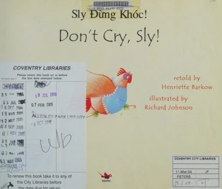 Don't Cry Sly in Vietnamese and English