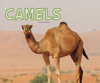 Meet Desert Animals Pack A of 4