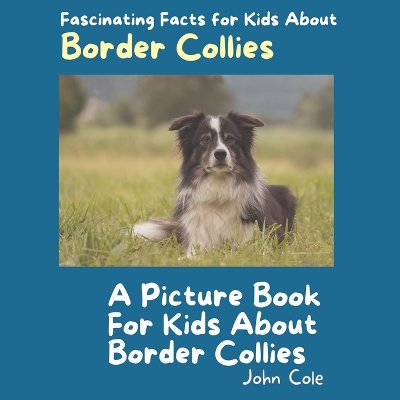 A Picture Book for Kids About Border Collies: Fascinating Facts for Kids About Border Collies