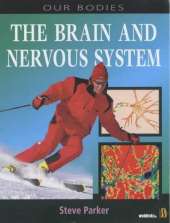 Our Bodies: Brain and Nervous System