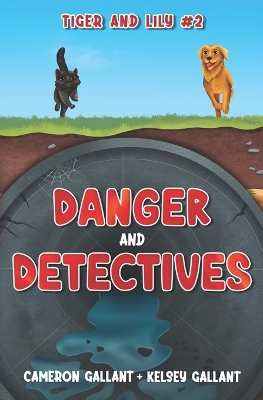 Danger and Detectives