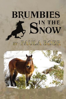 Brumbies in the Snow