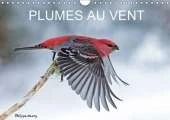 Plumes au Vent 2017: Des Oiseaux en Action au Fil des Quatres Saisons