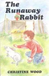 The Runaway Rabbit