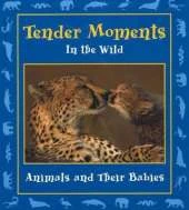 Tender Moments in the Wild: Animals and Their Babies