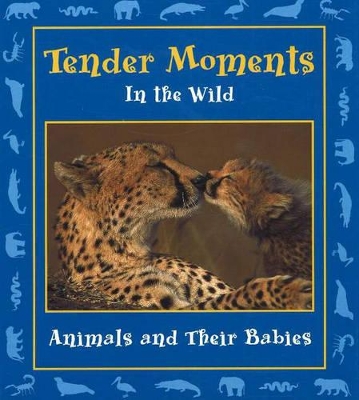Tender Moments in the Wild: Animals and Their Babies
