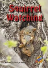 Squirrel Watching