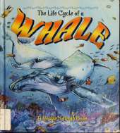 The Life Cycle of the Whale