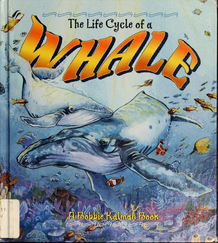 The Life Cycle of the Whale
