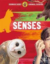Senses