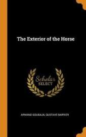 The Exterior of the Horse