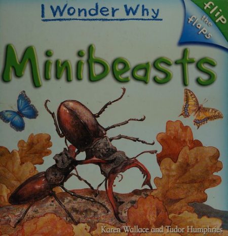 Flip the Flaps: Minibeasts