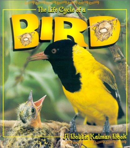 The Life Cycle of the Bird