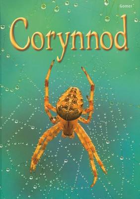 Corynnod