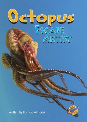 Octopus Escape Artist
