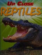 Up Close: Reptiles