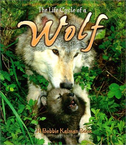 The Life Cycle of the Wolf