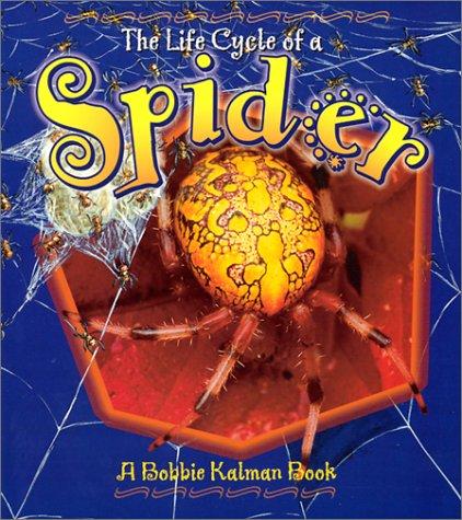 The Life Cycle of the Spider