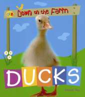 Ducks