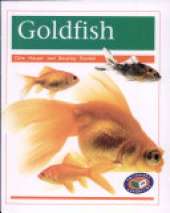 Goldfish