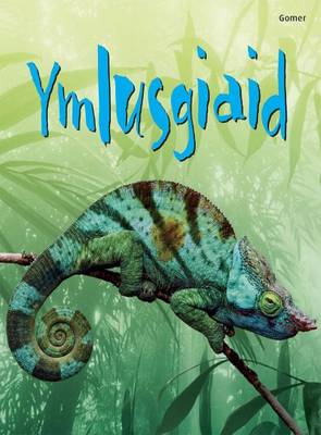 Ymlusgiaid