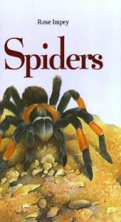 Spiders