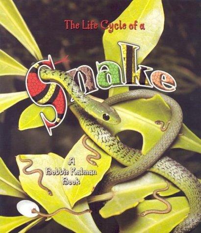 The Life Cycle of the Snake