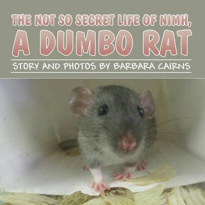 The Not So Secret Life of NIMH, a Dumbo Rat