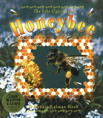The Life Cycle of a Honeybee