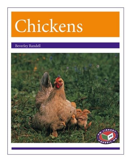 Chickens