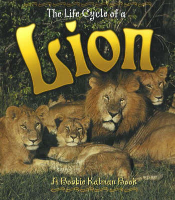 The Life Cycle of a Lion