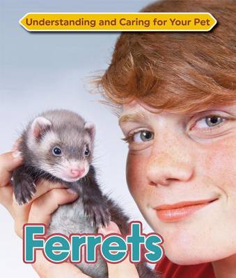 Ferrets