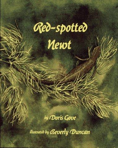 Red-Spotted Newt