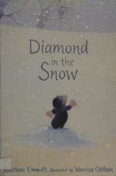Diamond In The Snow