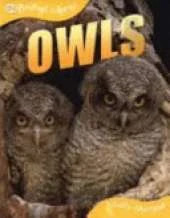 Owls
