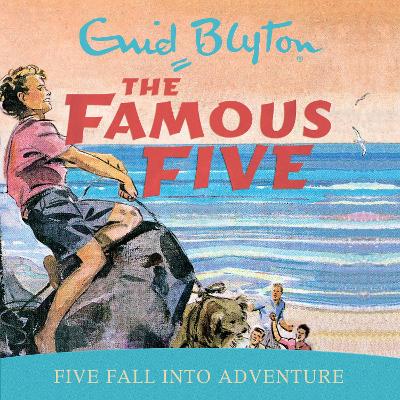Five Fall Into Adventure: Book 9