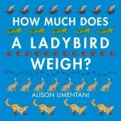 How Much Does a Ladybird Weigh?
