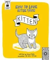 How to Look After Your Kitten