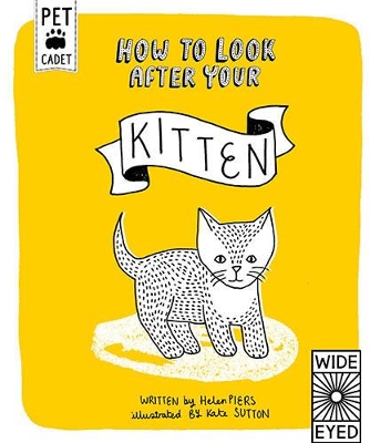 How to Look After Your Kitten