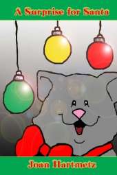 A Surprise For Santa