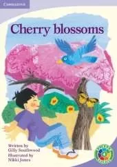 Cherry Blossoms: Festivals