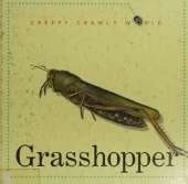 Grasshopper
