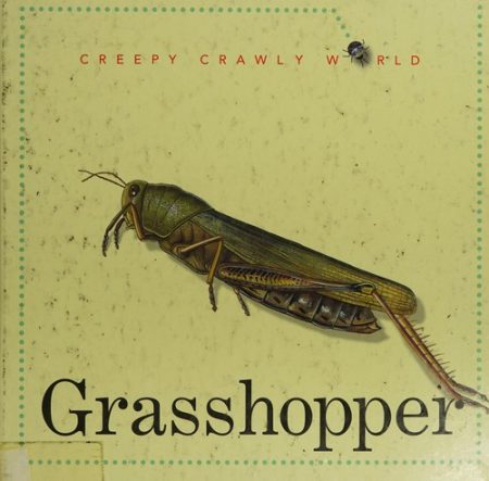 Grasshopper