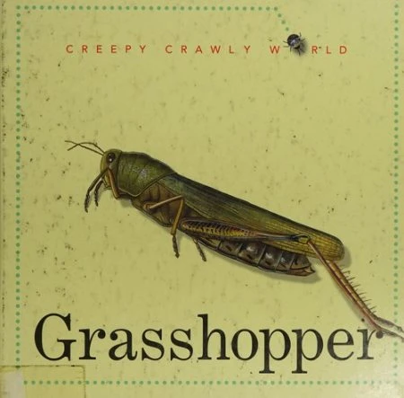 Grasshopper