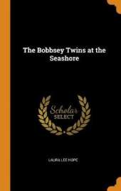 The Bobbsey Twins at the Seashore