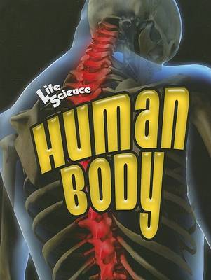 Human Body