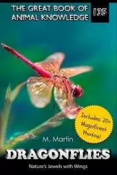 Dragonflies: Nature's Jewels with Wings