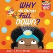 Why do things fall down?